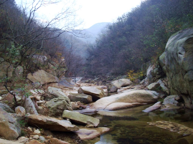 dsc04870.jpg