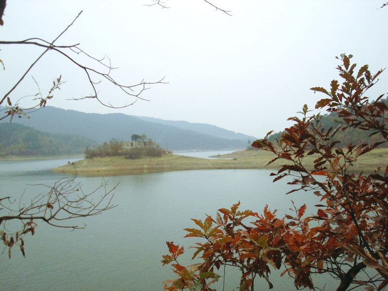 dsc04881.jpg