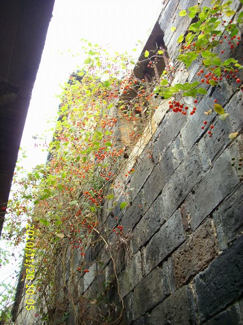 img_0073.jpg