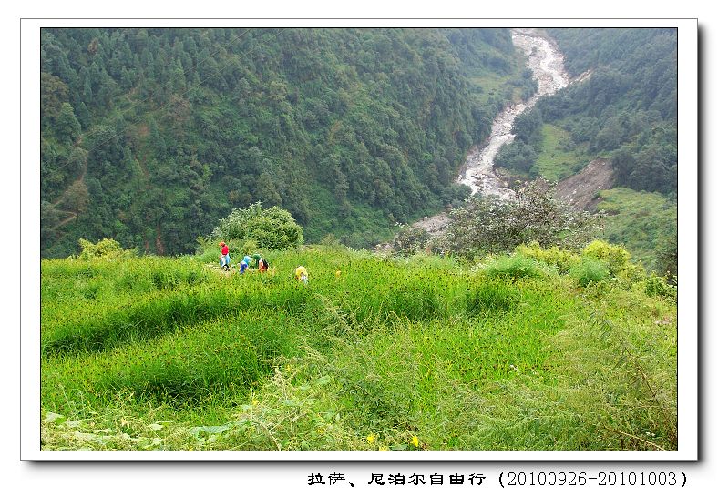 dsc09728.jpg