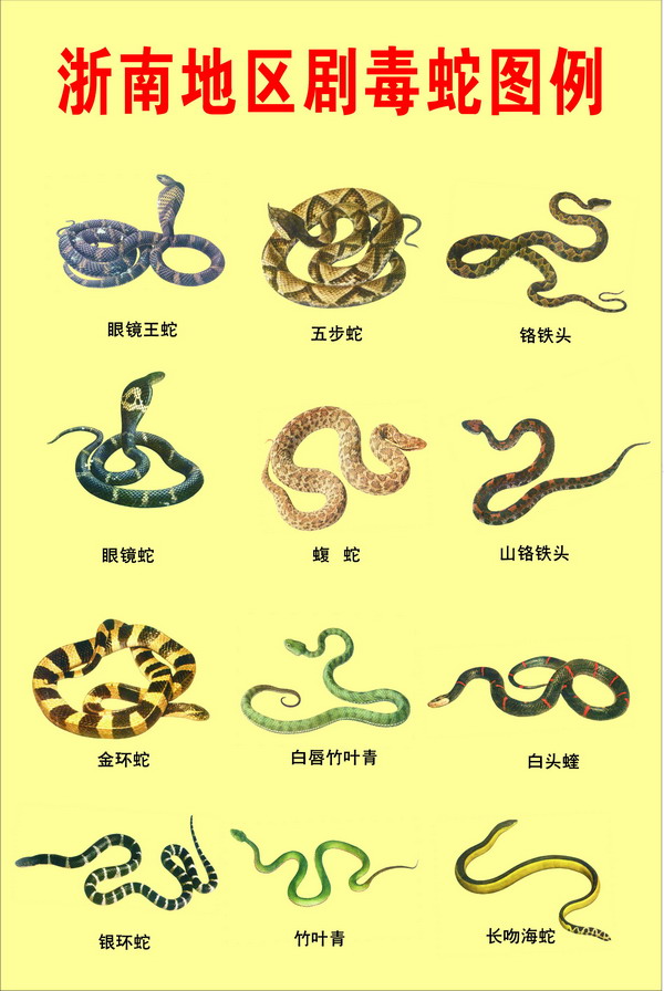 綾ͼ1.jpg