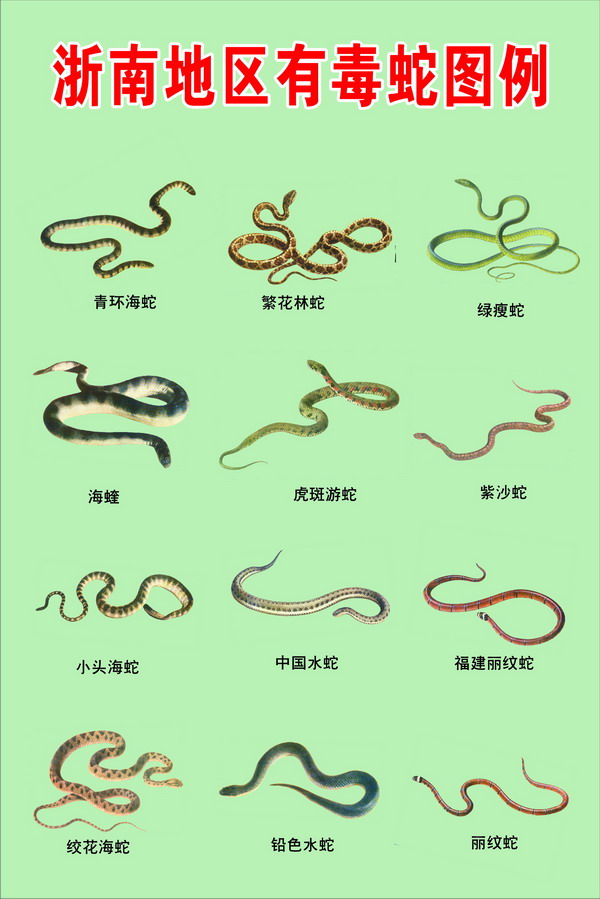 綾ͼ2.jpg