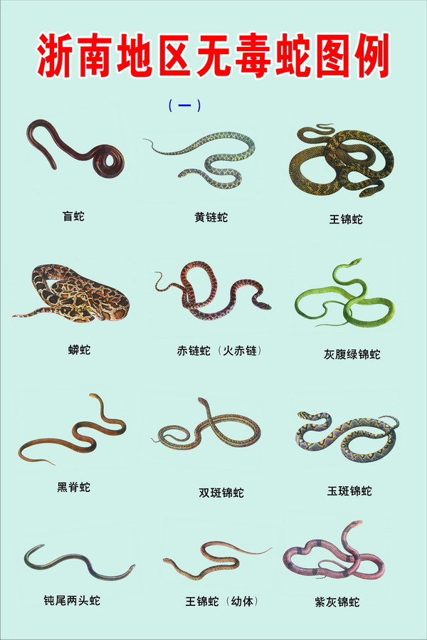 ޶ͼ1.jpg