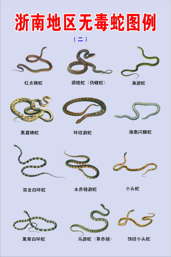 ޶ͼ2.jpg