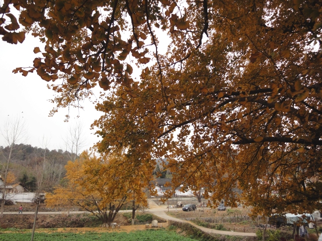 dsc02886.jpg