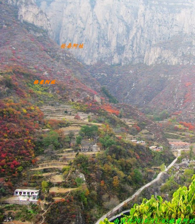 阿娃 347.jpg