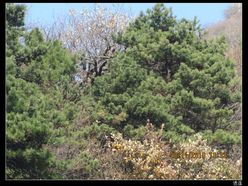img_7823.jpg