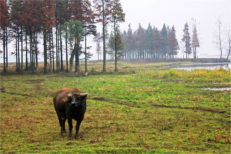 conew_img_1942.jpg