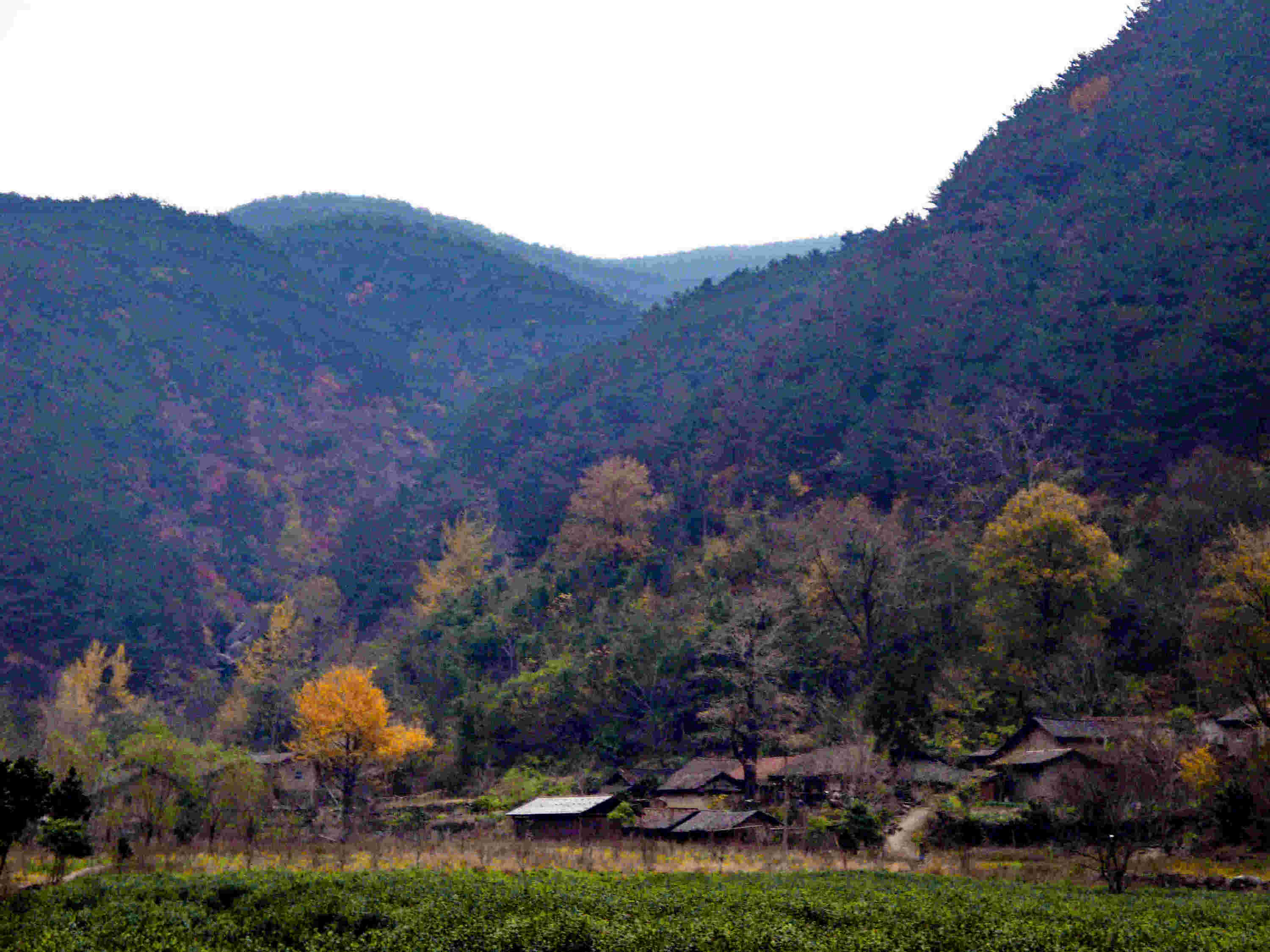 dsc01196.jpg