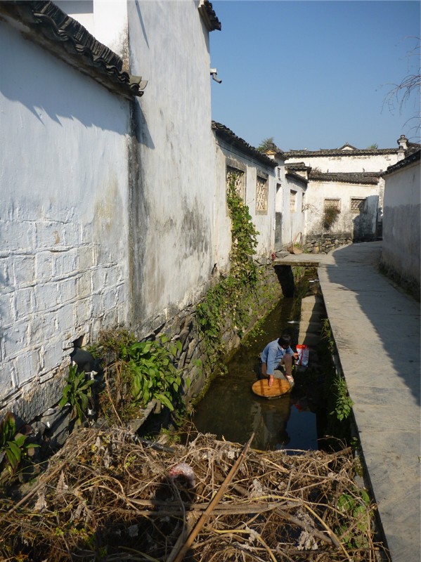 p1030603_.jpg