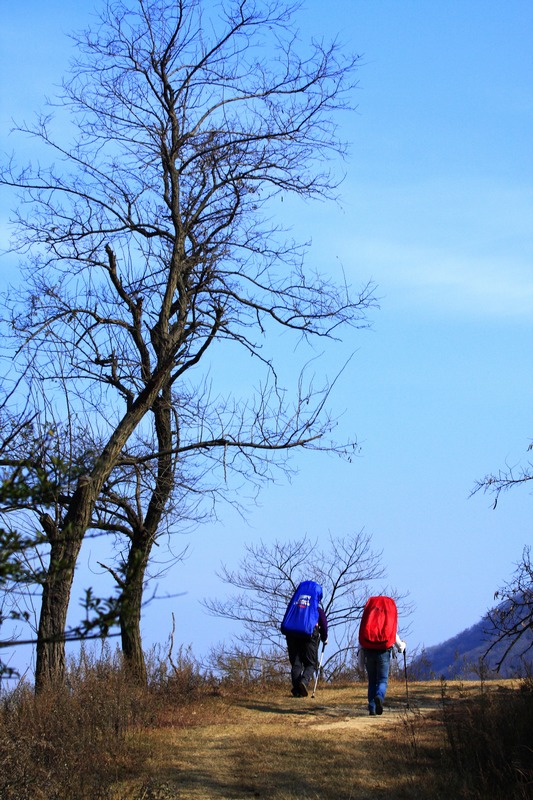 _mg_1385.jpg