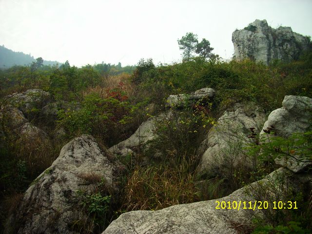 img_0076.jpg