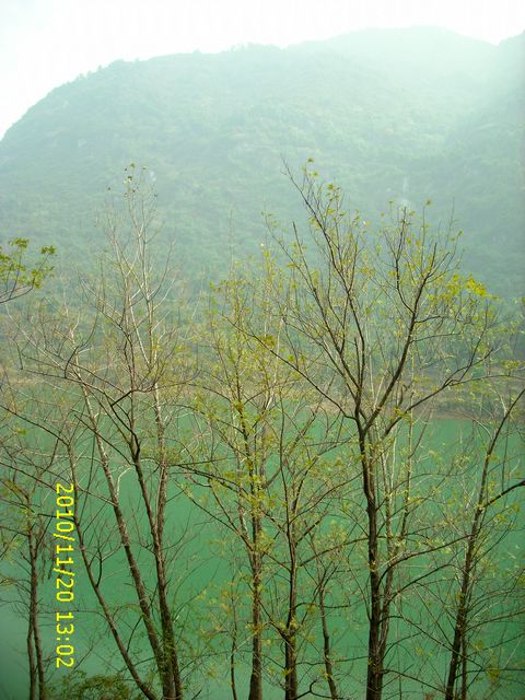 img_0100.jpg