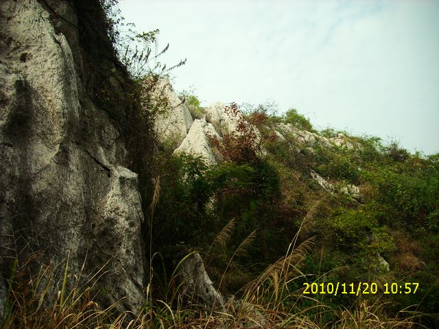 img_0078.jpg