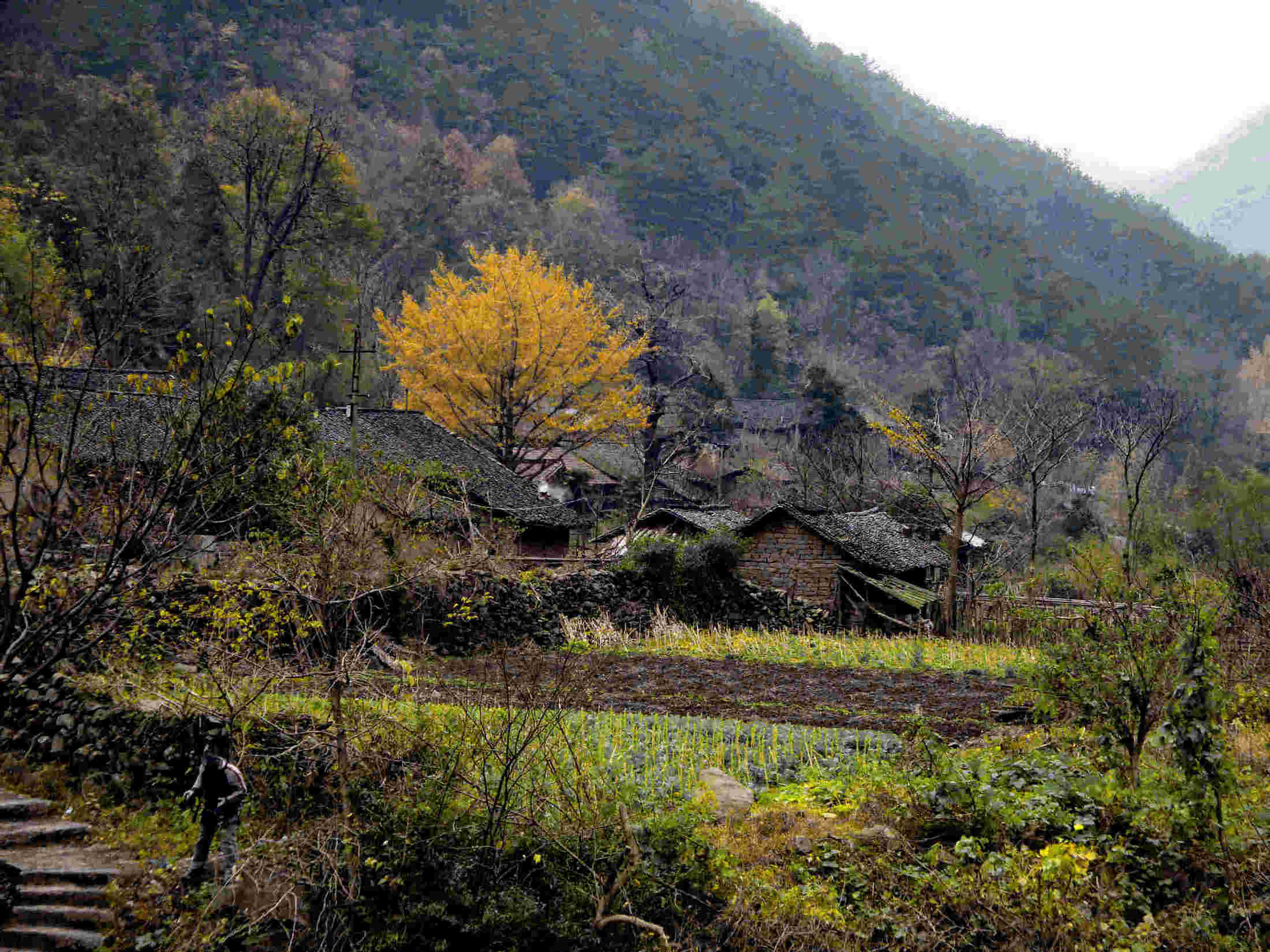 dsc01266.jpg