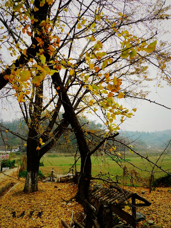 p1010220.jpg