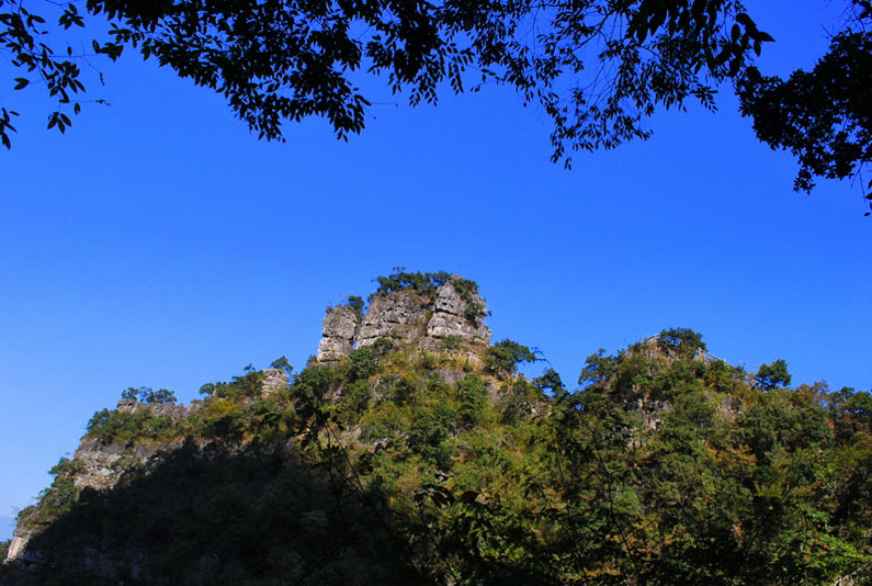 dsc_0139.jpg