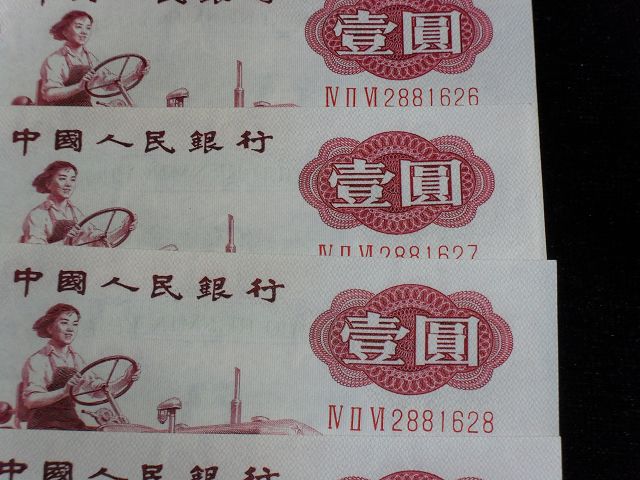 sdc13396.jpg