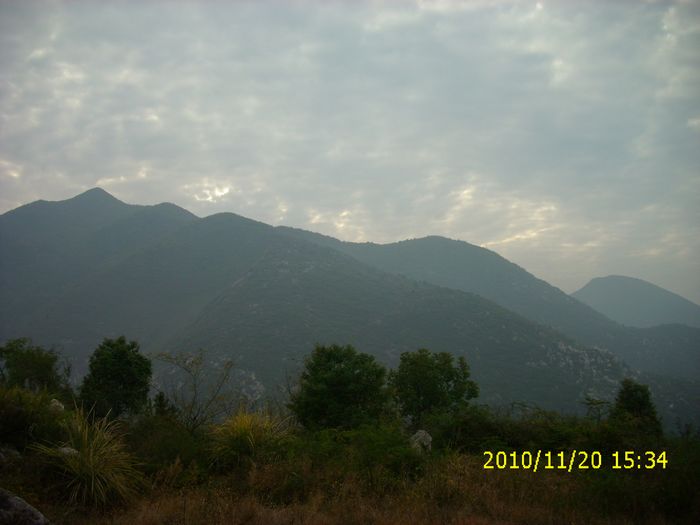 img_0131.jpg