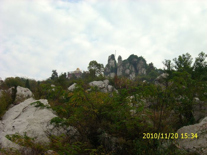 img_0130.jpg