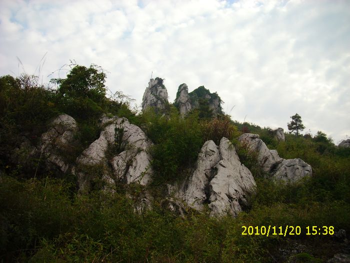 img_0132.jpg