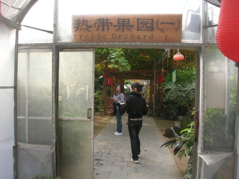 dscn4703.jpg