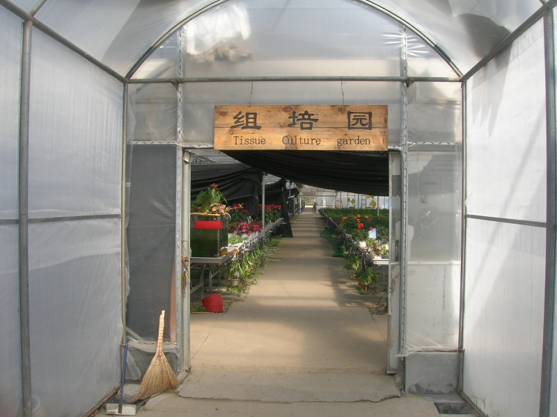 dscn4794.jpg