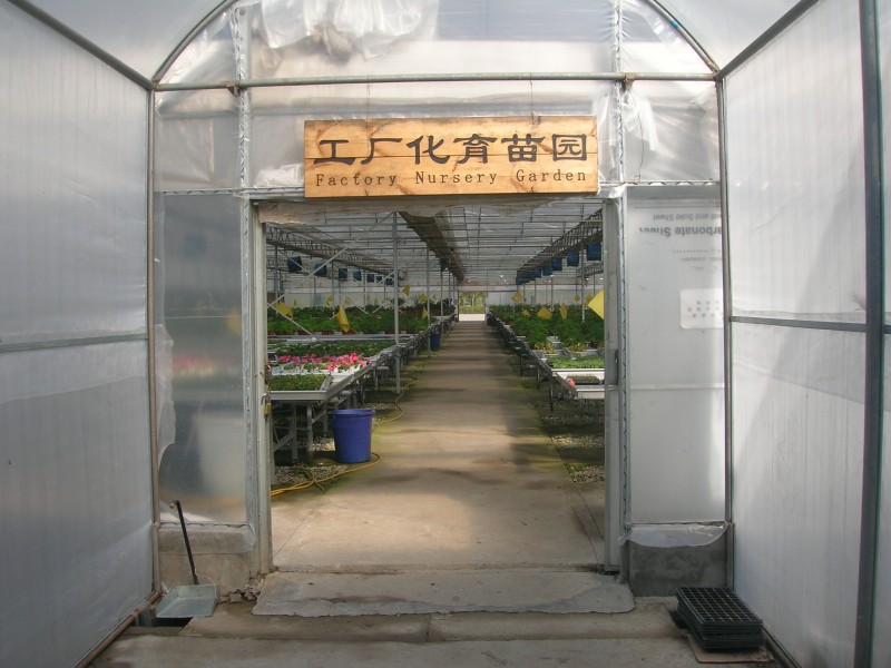 dscn4797.jpg