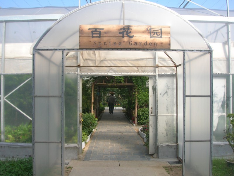 dscn4787.jpg