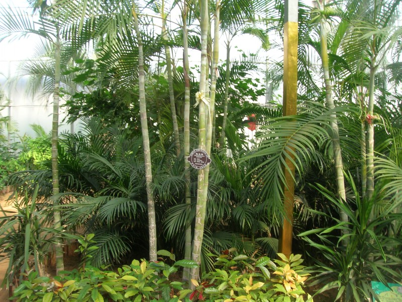 dscn4780.jpg
