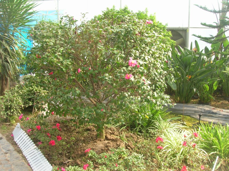 dscn4788.jpg