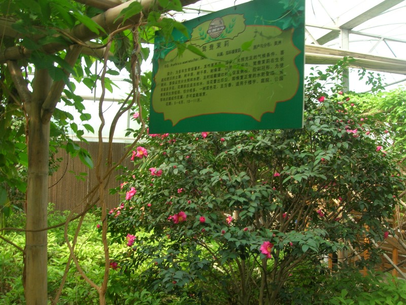 dscn4793.jpg