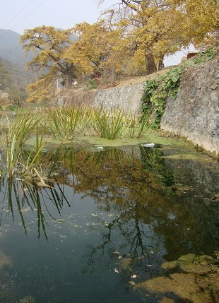 Ǯ1.jpg