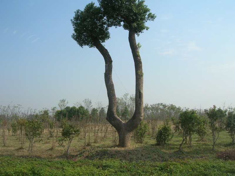 dscn4820.jpg