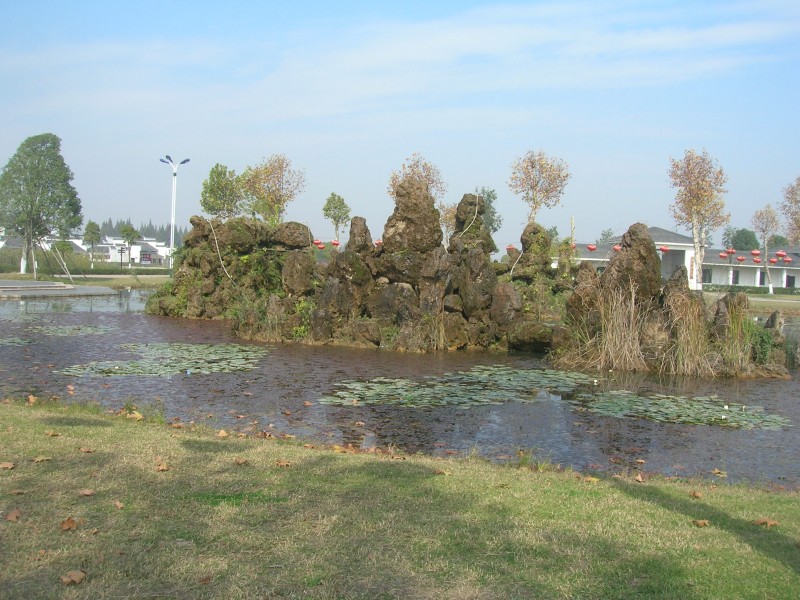 dscn4812.jpg