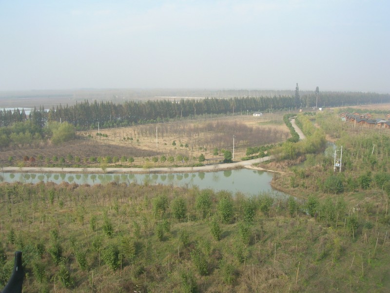 dscn4852.jpg