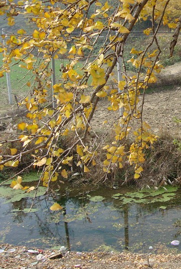 Ǯ3.jpg