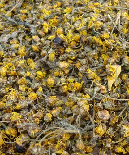 Ǯ5.jpg