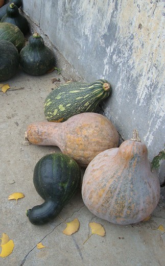 Ǯ4.jpg