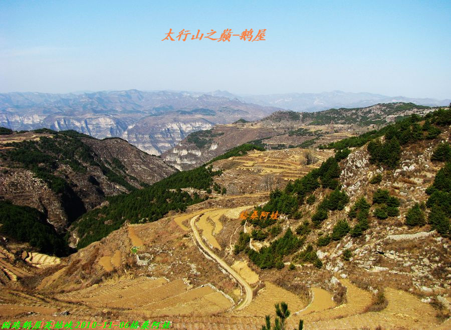  577.jpg