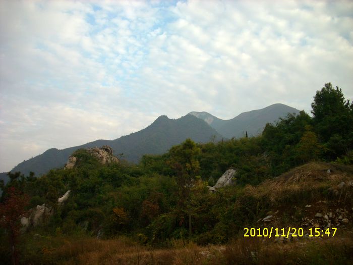 img_0138.jpg