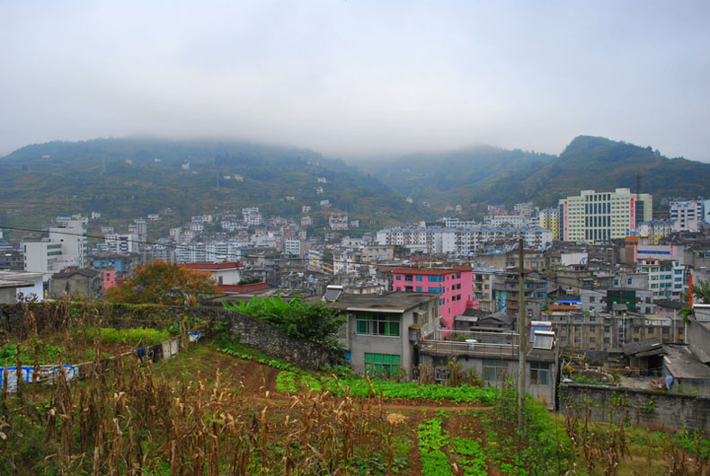 dsc_0220.jpg