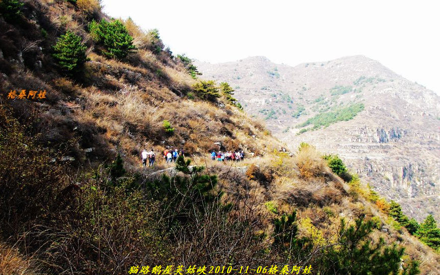 阿娃 723.jpg