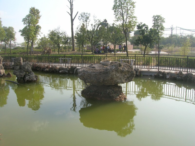 dscn4884.jpg