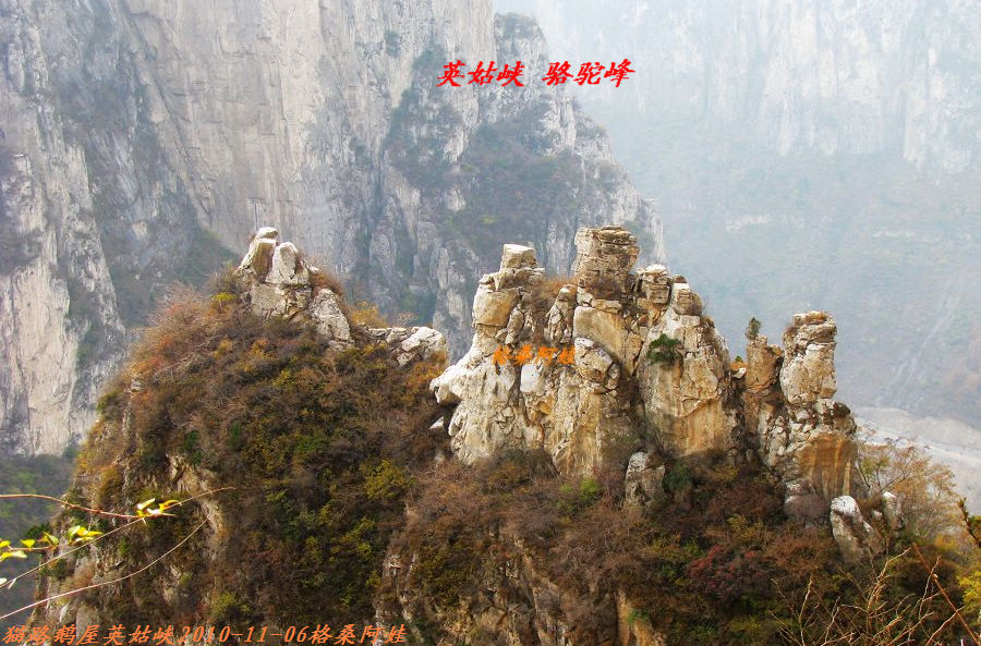阿娃 749.jpg