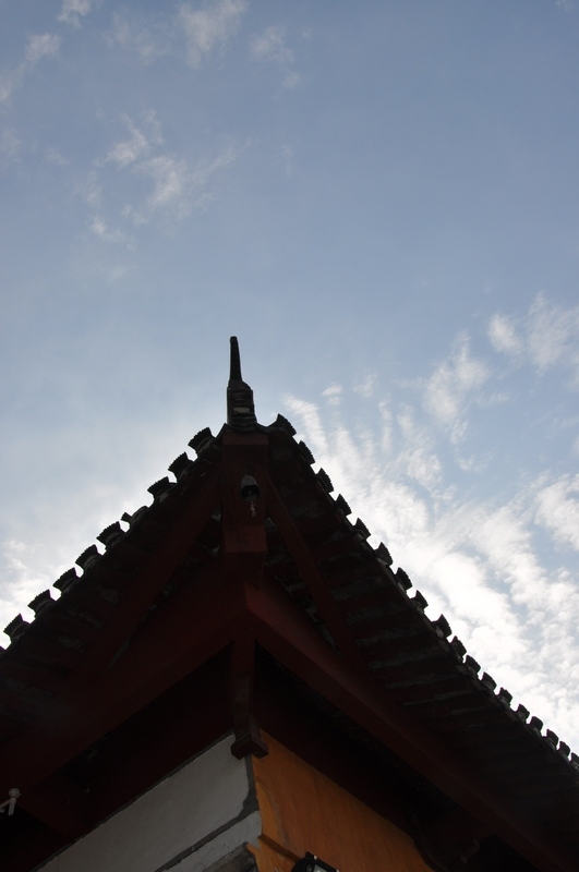 dsc_0140.jpg
