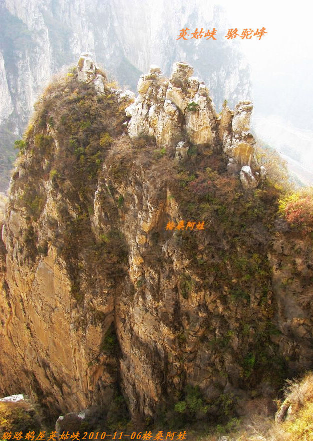 阿娃 761.jpg