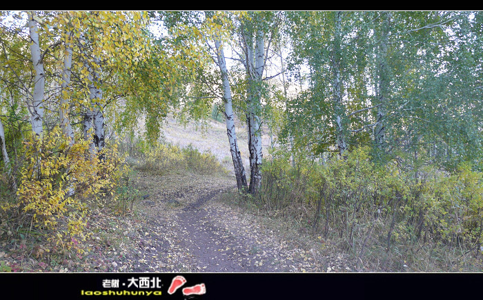 p1140151.jpg