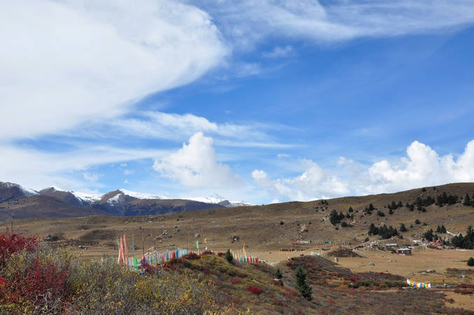 dsc_0102.jpg