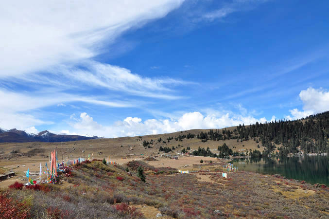dsc_0119.jpg